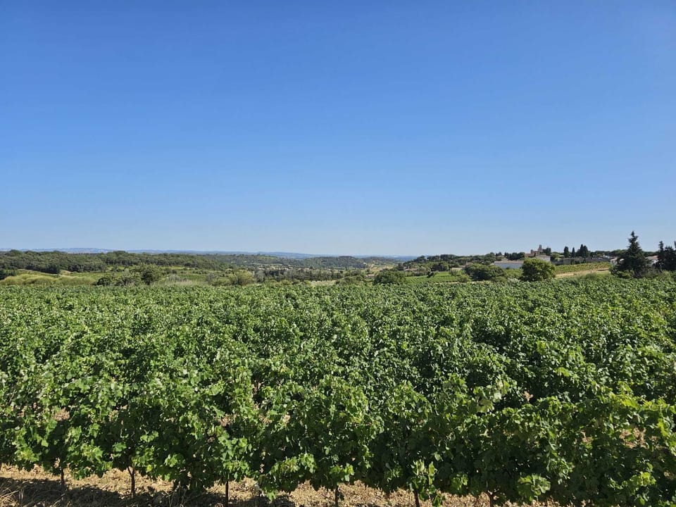 Vue gites 2