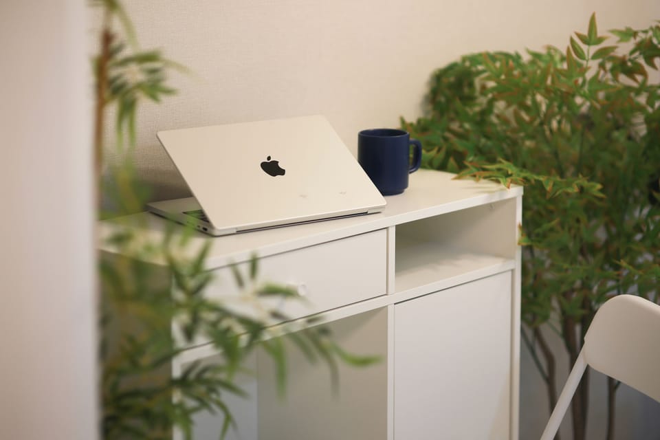 a desk with drawers and shelves for your business work, several plants