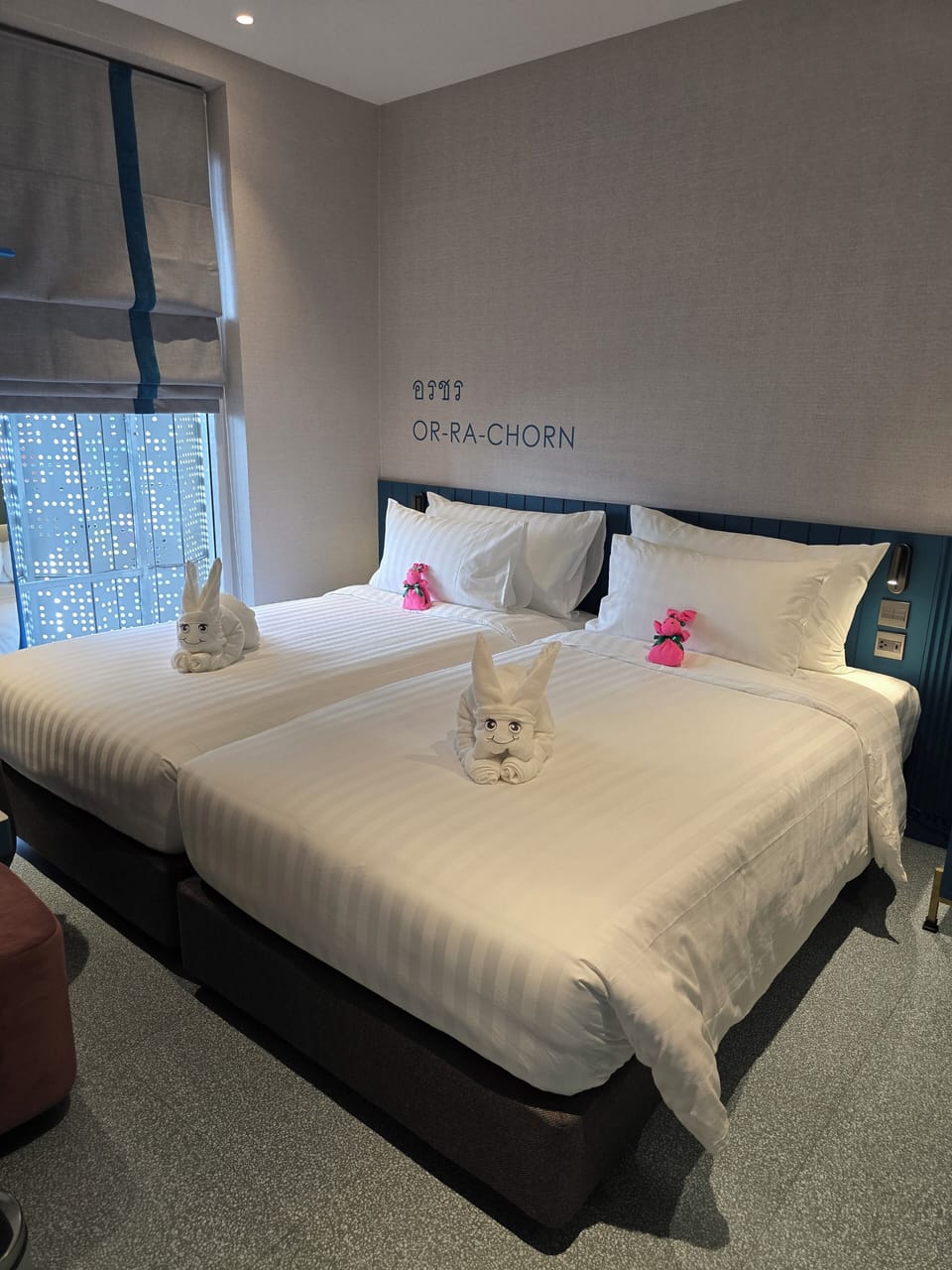 Deluxe Twin Room, Women only | Blackout drapes, iron/ironing board, free WiFi