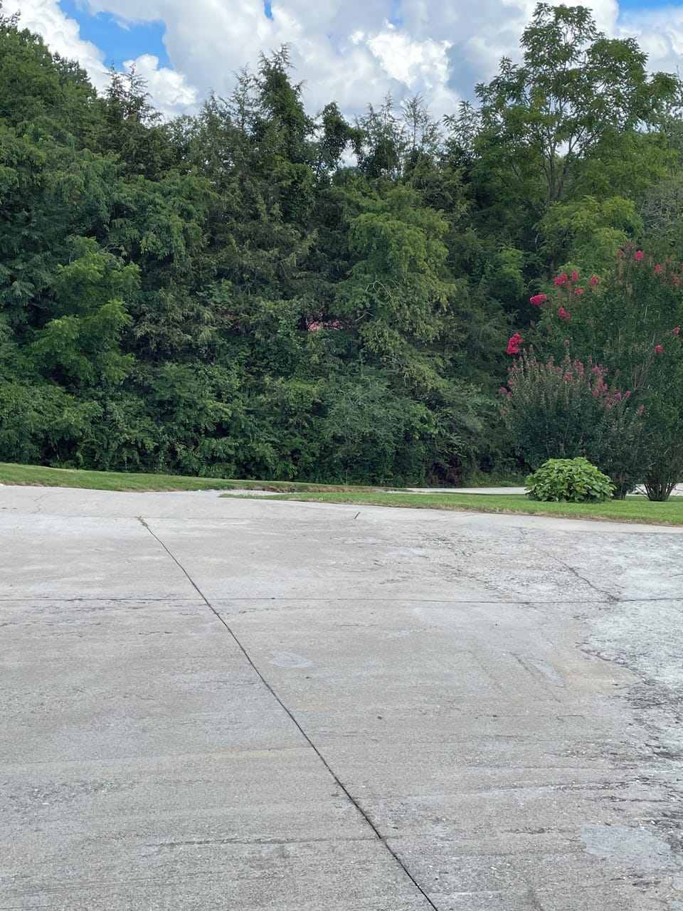 Outdoor area & parking