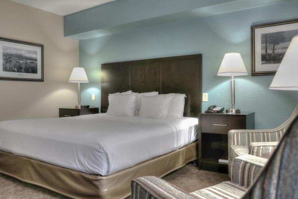 Deluxe Double Room Single Use | Blackout drapes, iron/ironing board, free WiFi