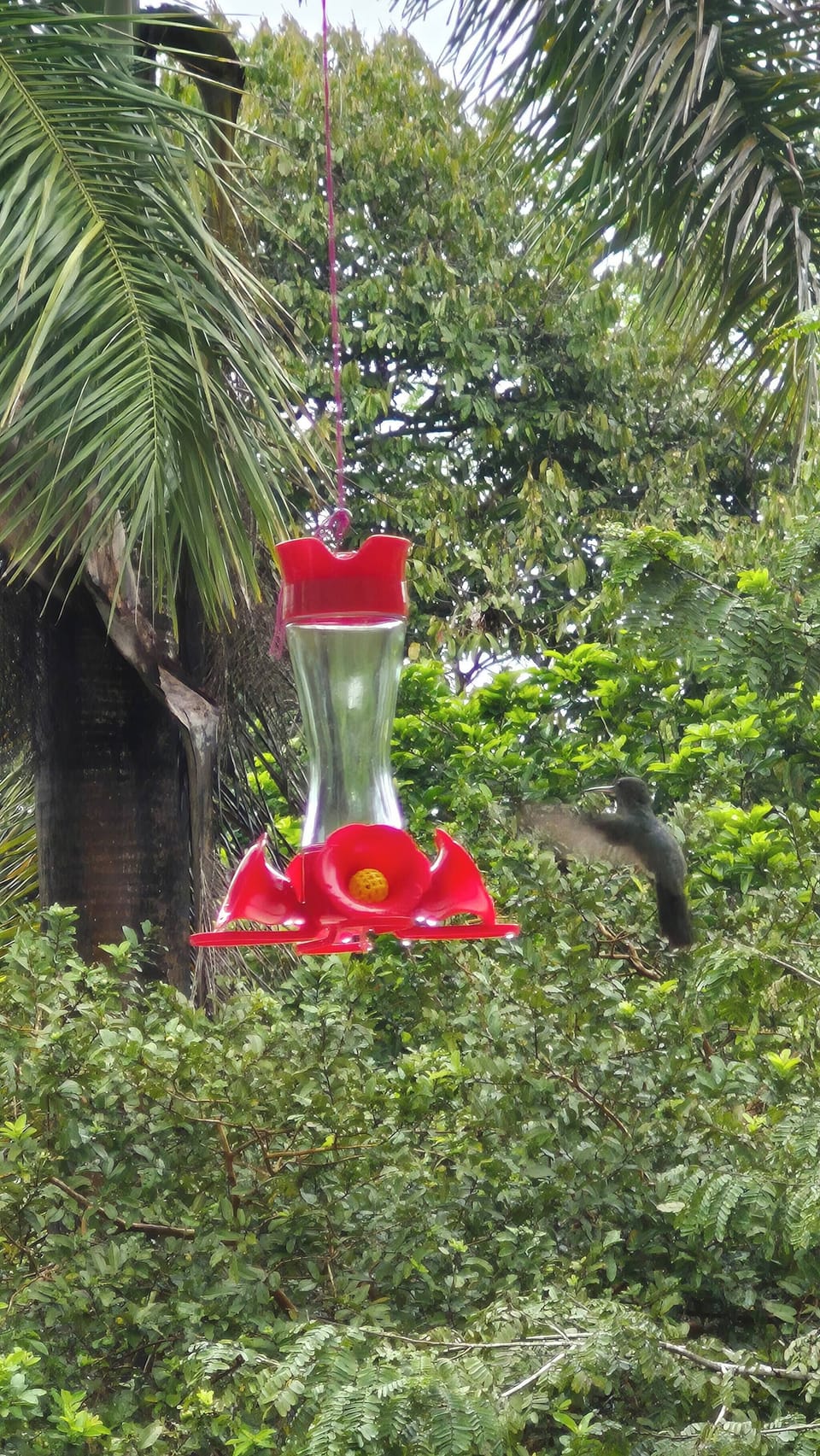 Villa, 2 Bedrooms, Private Pool | Miscellaneous