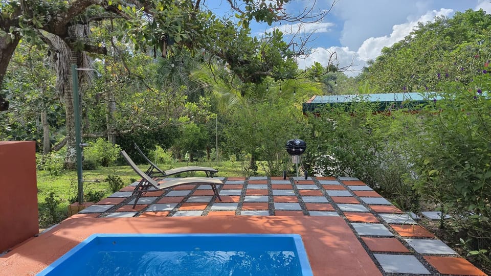 Villa, 2 Bedrooms, Private Pool | Pool | Outdoor pool