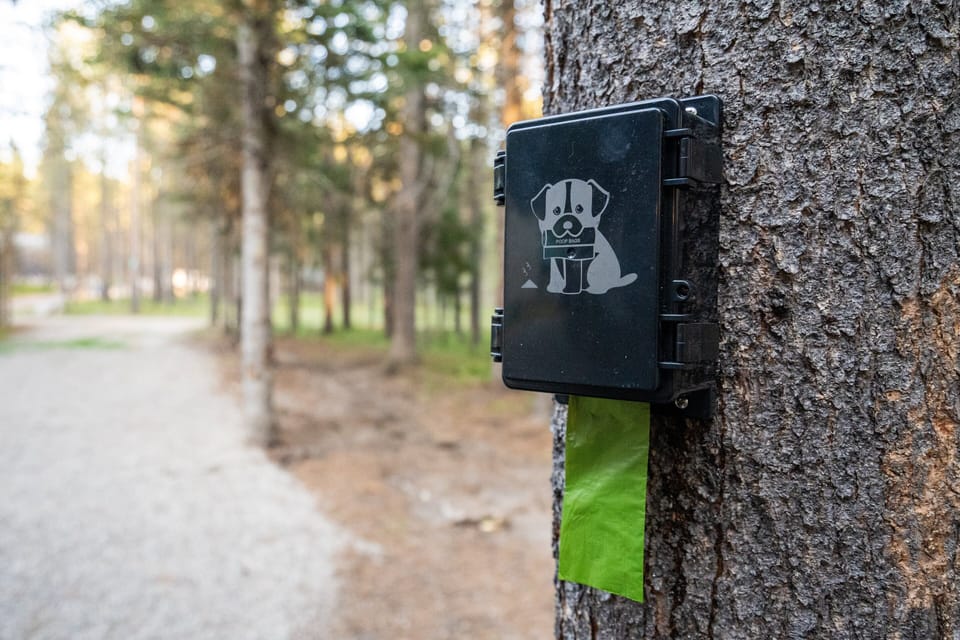 At Roaming Buffalo, pets are part of the adventure. Enjoy wooded walking paths, convenient dog waste stations, and a setup that makes traveling with your pup easy, respectful, and stress-free.