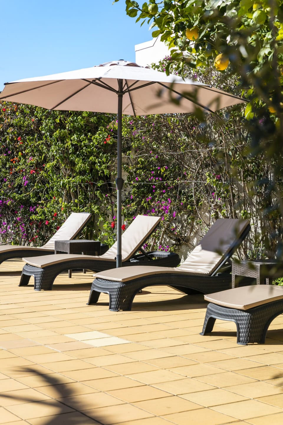 House | Terrace/patio
