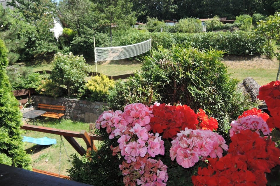 View from Holiday Home [summer]