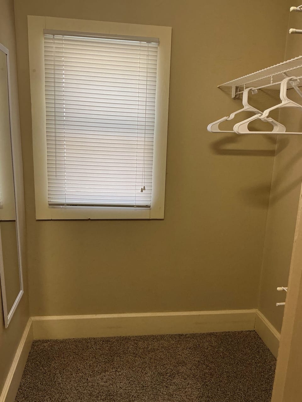 Master- small walk in closet