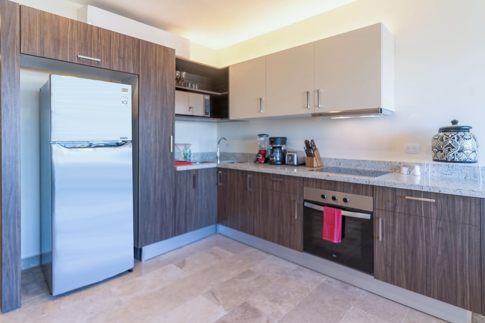 Deluxe Apartment, Balcony, City View | Private kitchen