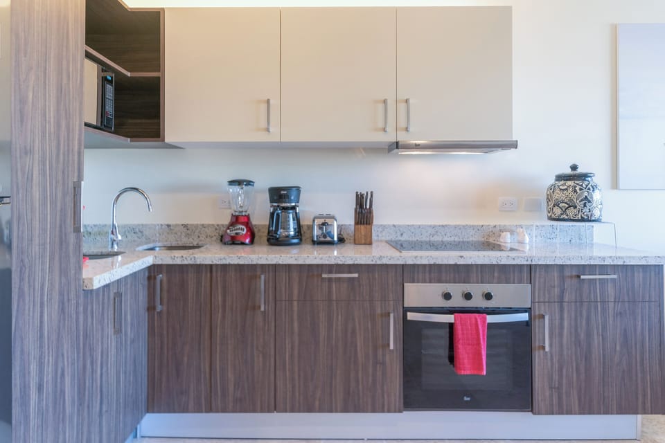 Deluxe Apartment, Balcony, City View | Private kitchen