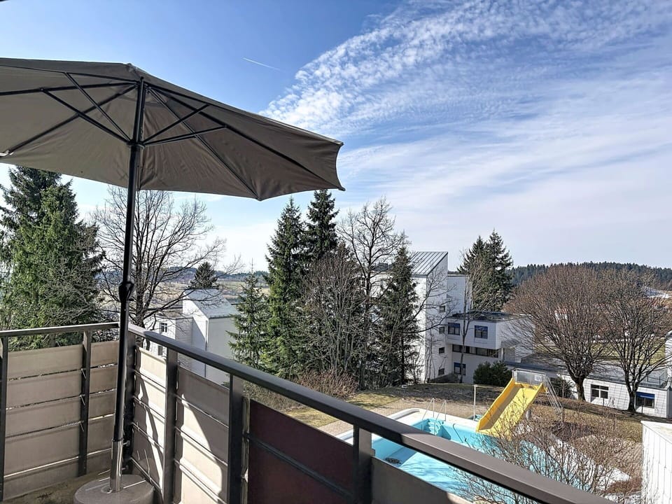 Handrail, Balcony, Larch, Winter, Evergreen, Deck, Pine Family, Daylighting