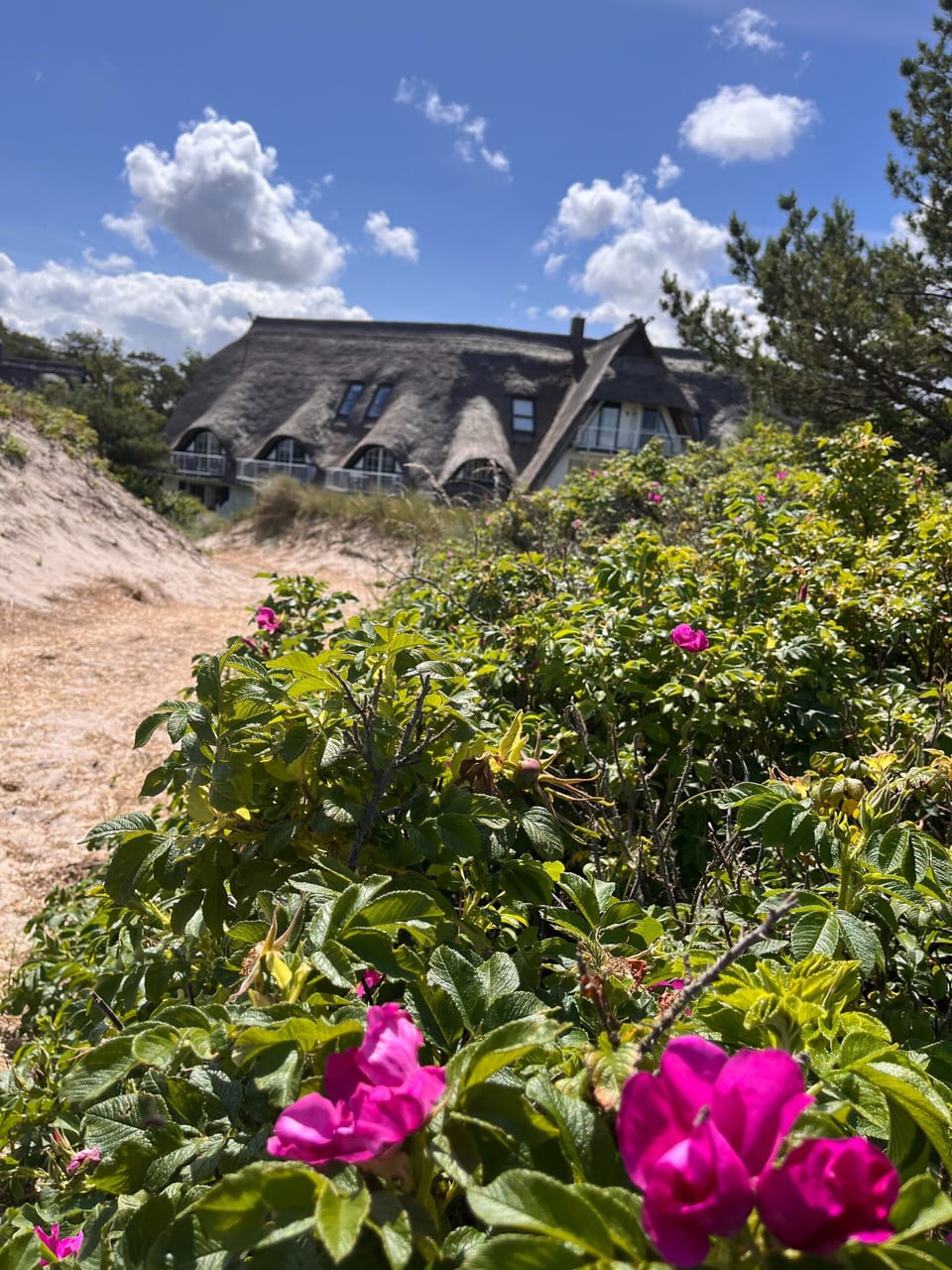 House | Exterior