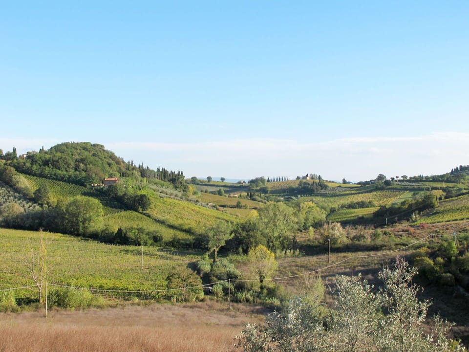 Grass, Natural Environment, Natural Landscape, Vegetation, Grassland, Hill, Ecoregion, Plant Community, Landscape