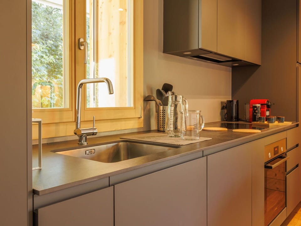 Kitchen, Countertop, Kitchen Sink, Kitchen Appliance, Sink, Plumbing Fixture, Cabinetry, Interior Design, Major Appliance, Tap
