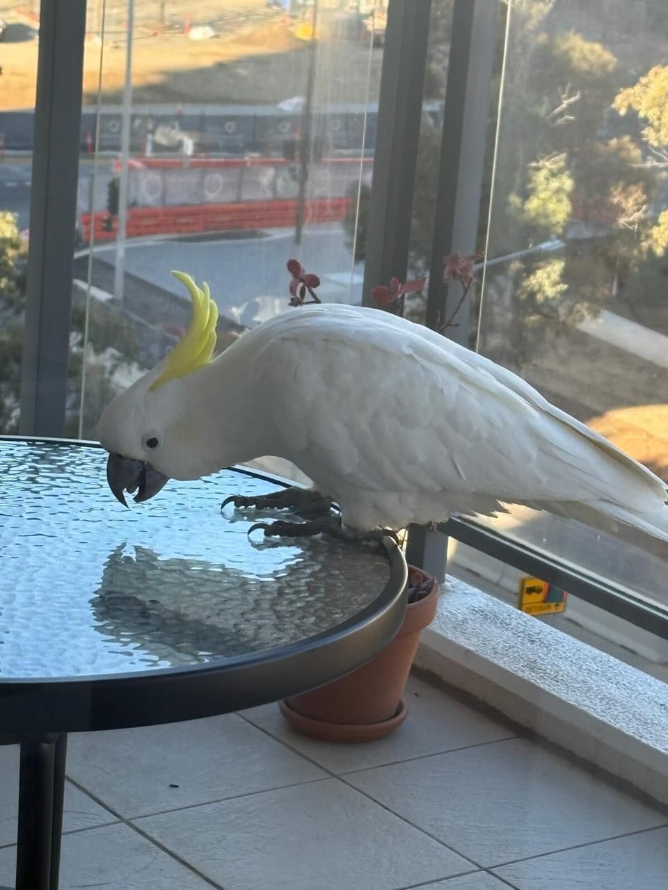 Apartment, Lake View | Balcony view