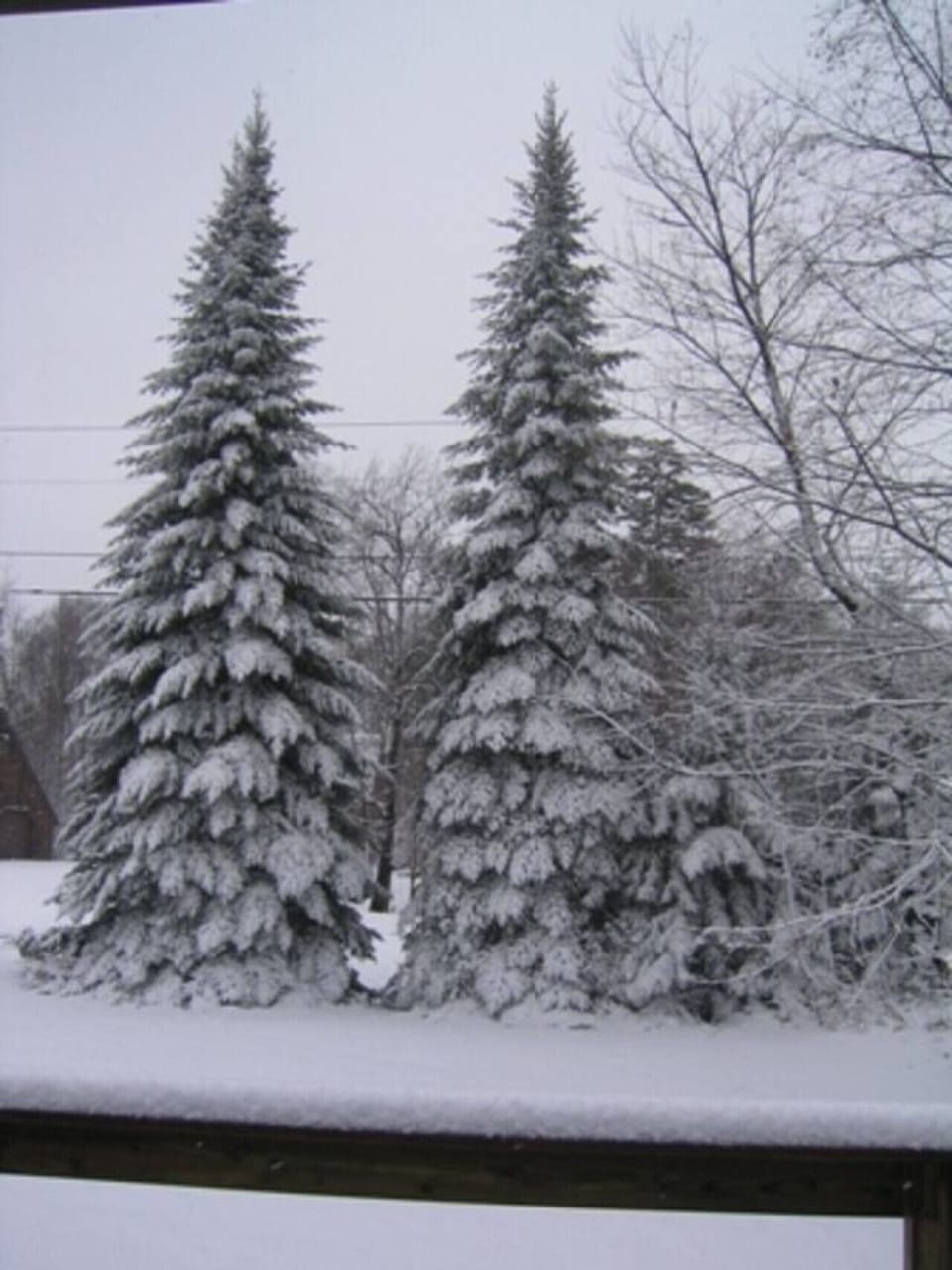 View from property