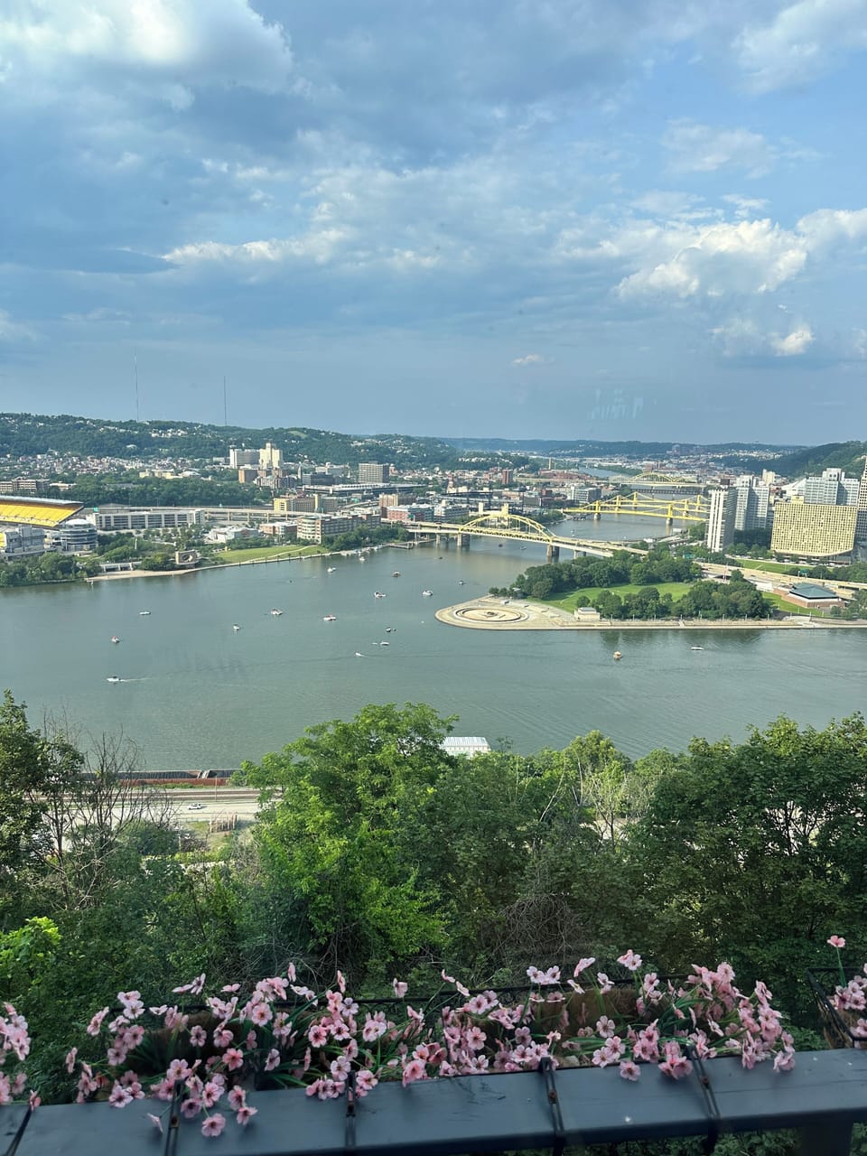 View from property
