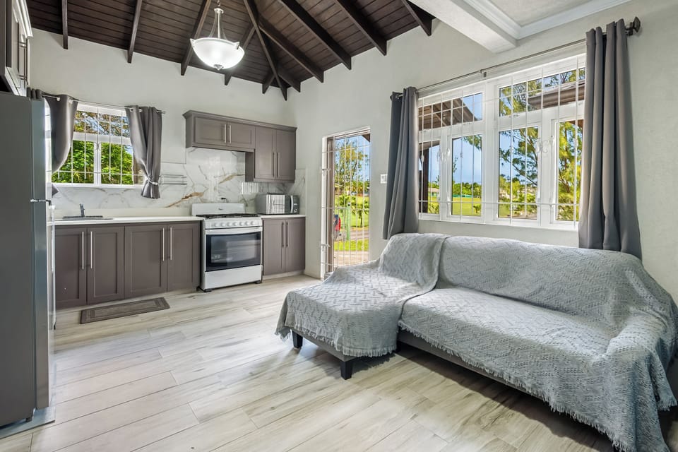 Couch with Pull-Out Sofa Bed + Mattress (Upon Request)