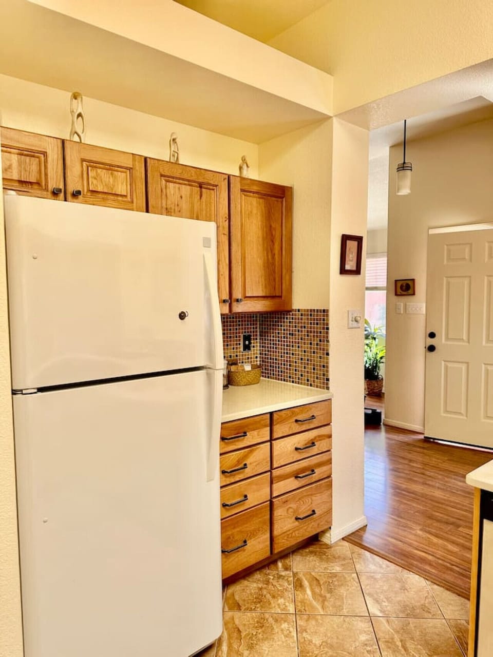 Kitchen - Fridge and Modern Appliances
