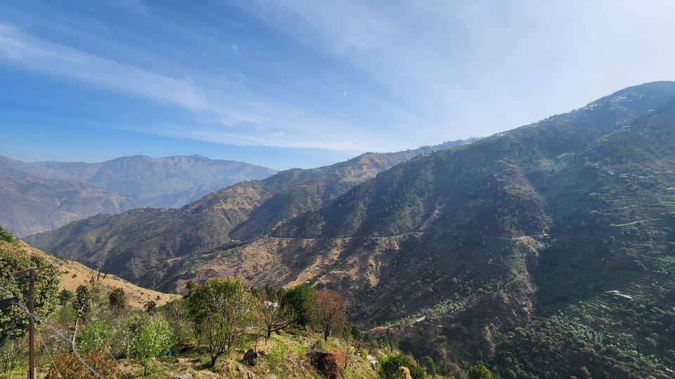View from property