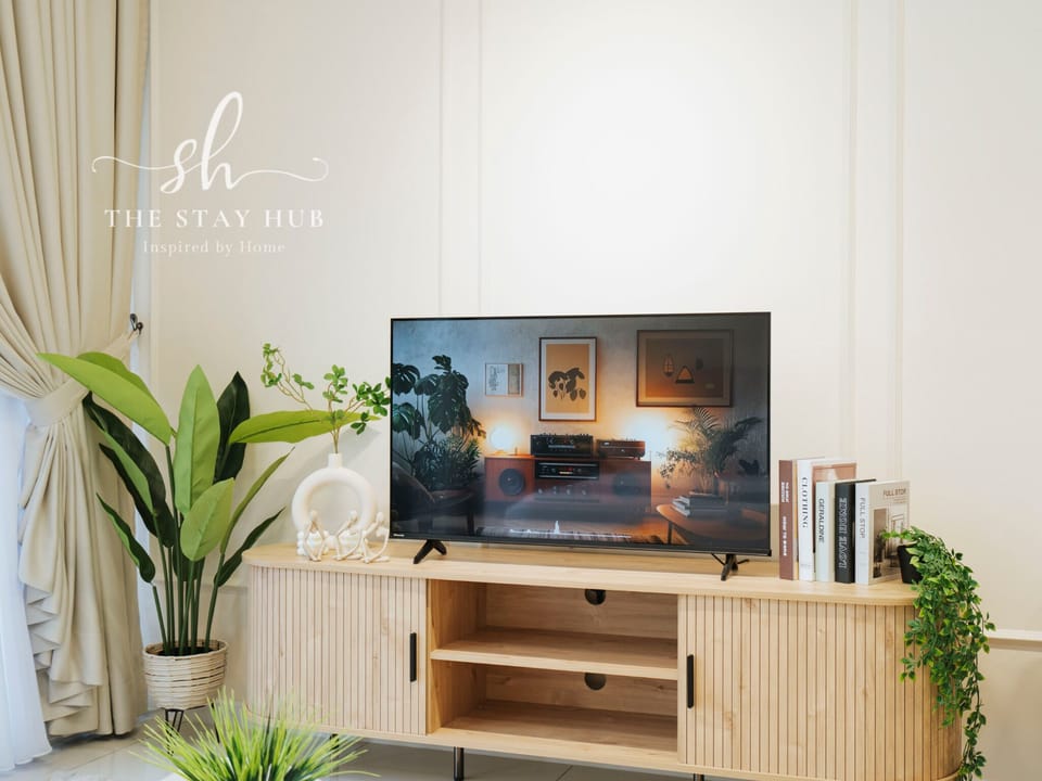 Television