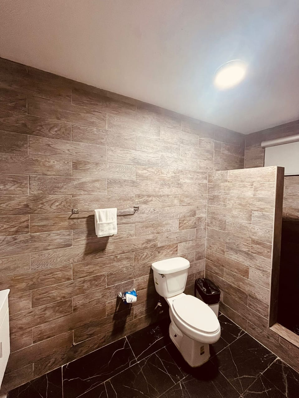 Combined shower/tub, free toiletries, towels, soap
