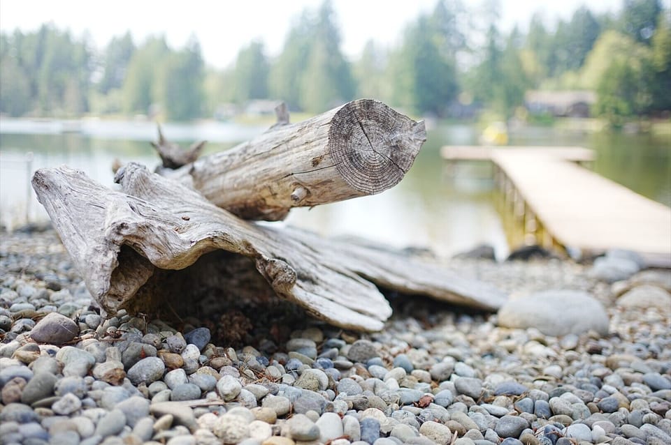 Driftwood Accents 