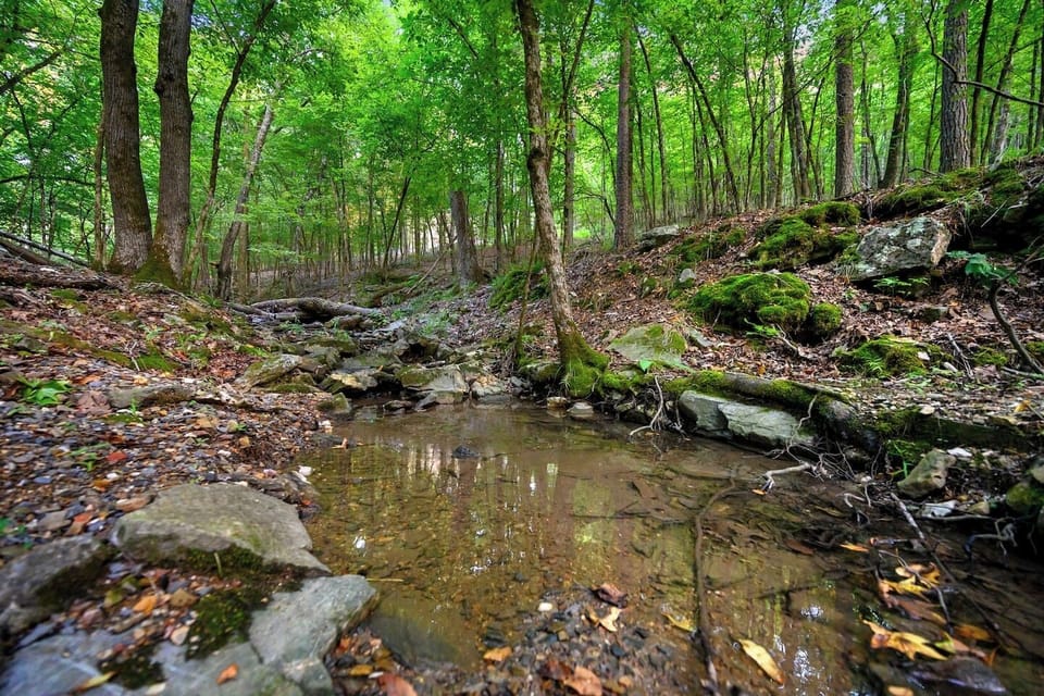 Creek is just down a private pathway, steps from the fire pit area.  Definitely worth checking out and exploring.