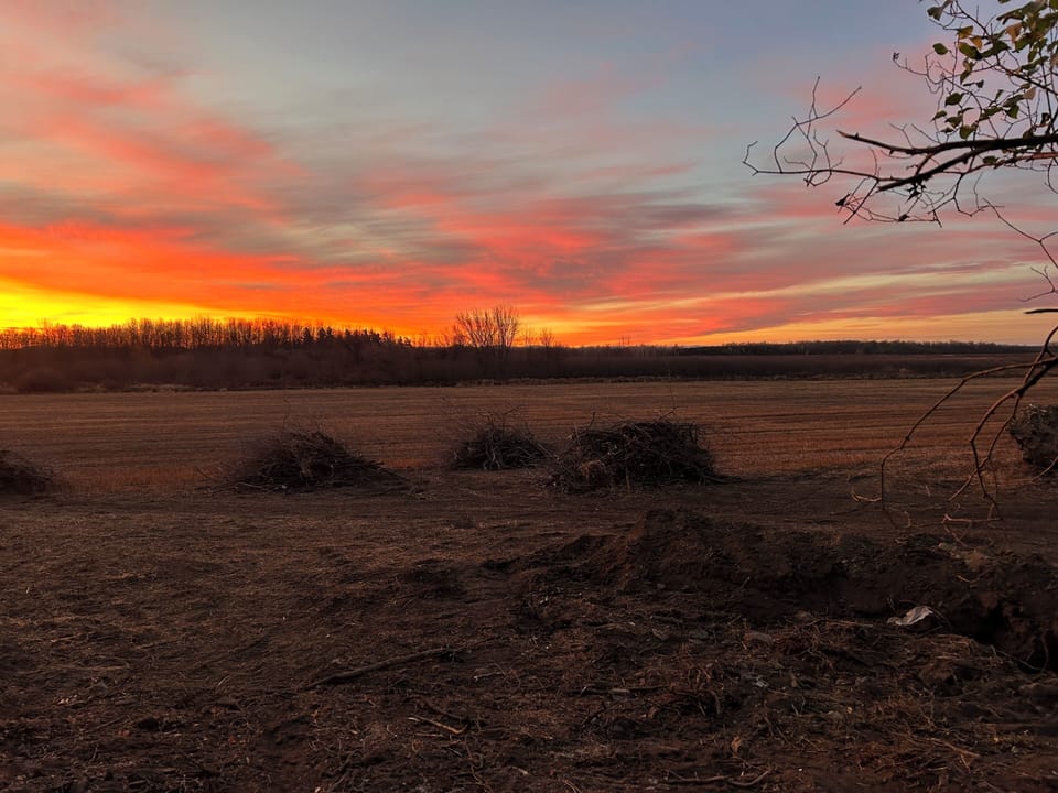 Field between cottage and wildlife reserve at sunrise 