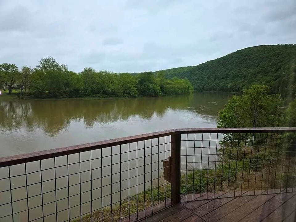View from deck
