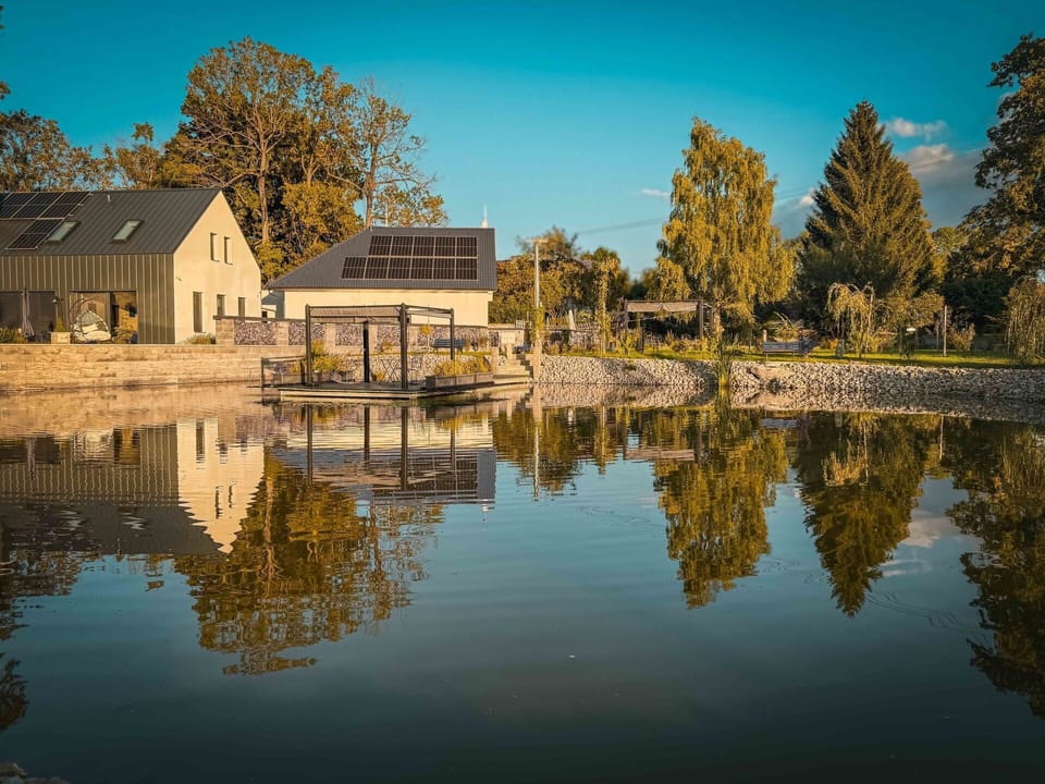 Water, Tree, Watercourse, Waterway, Bank, Reflection, Home, Lake, Channel, Pond