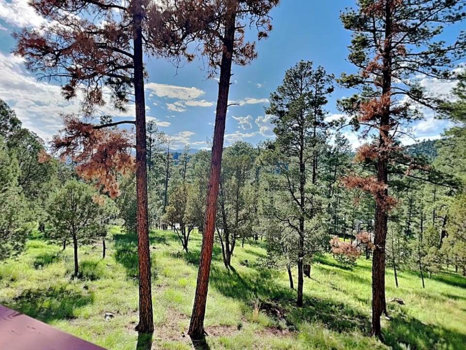 Deck View