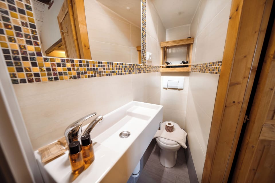 Classic Studio | Bathroom | Hair dryer, towels, toilet paper