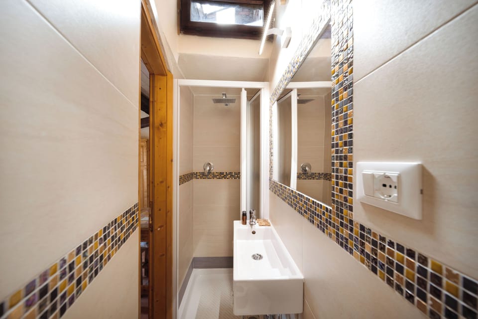 Classic Studio | Bathroom | Hair dryer, towels, toilet paper