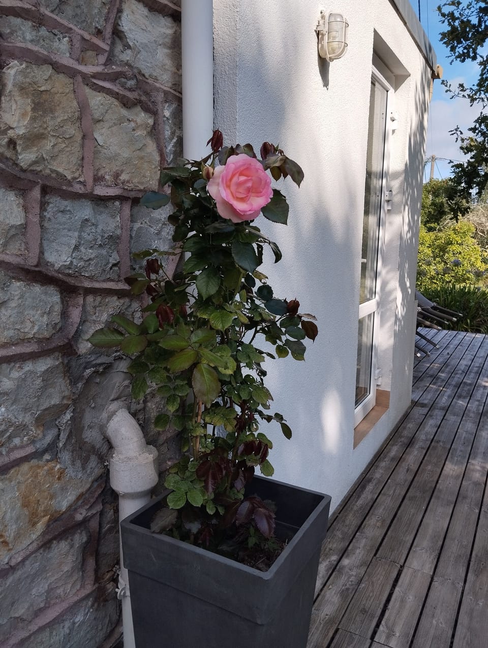 Exterior detail