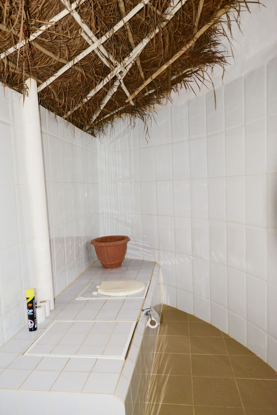 Shower, towels