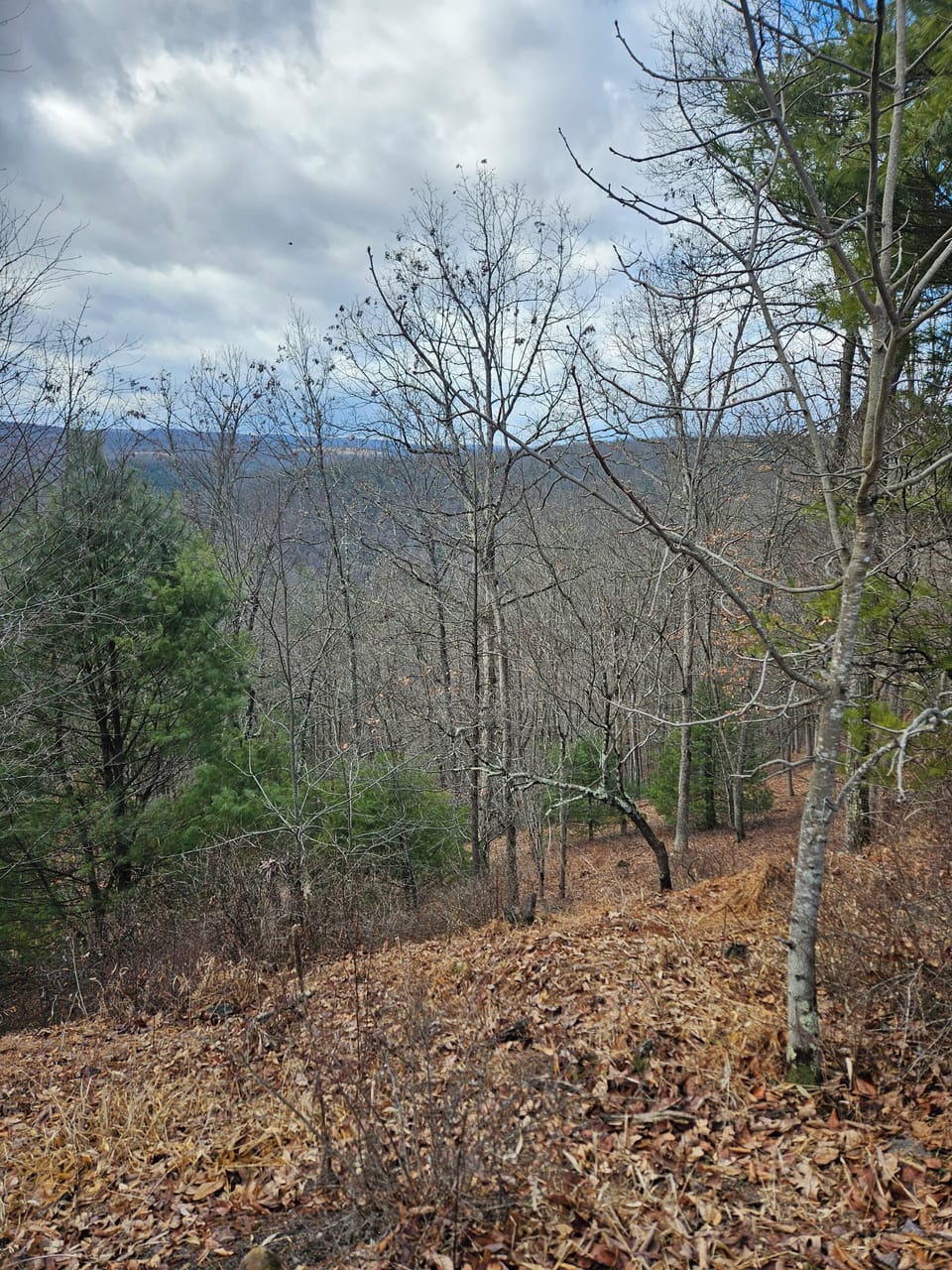 Mountain  view.