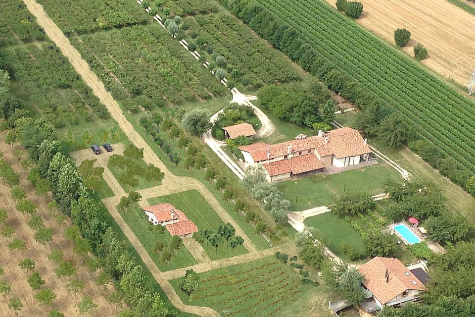 Autumn, Spring, Summer