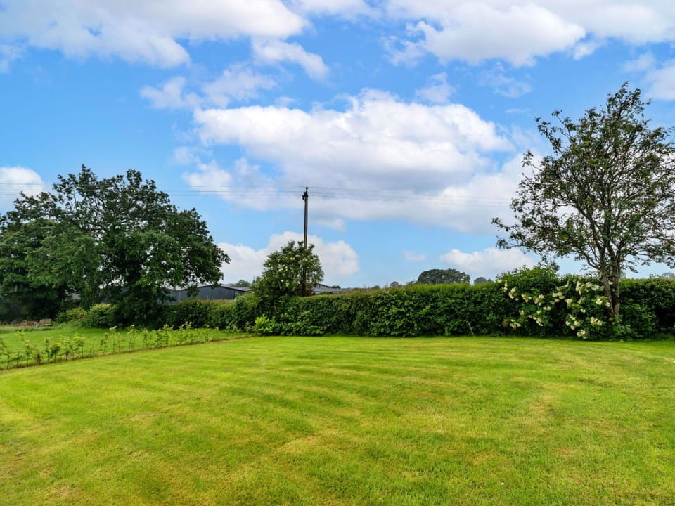 Sky, Blue, Daytime, Green, Tree, Natural Environment, Cloud, Grass, Grassland, Natural Landscape