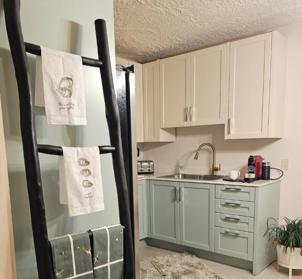 kitchen , recently renovated Nepreso coffee maker 