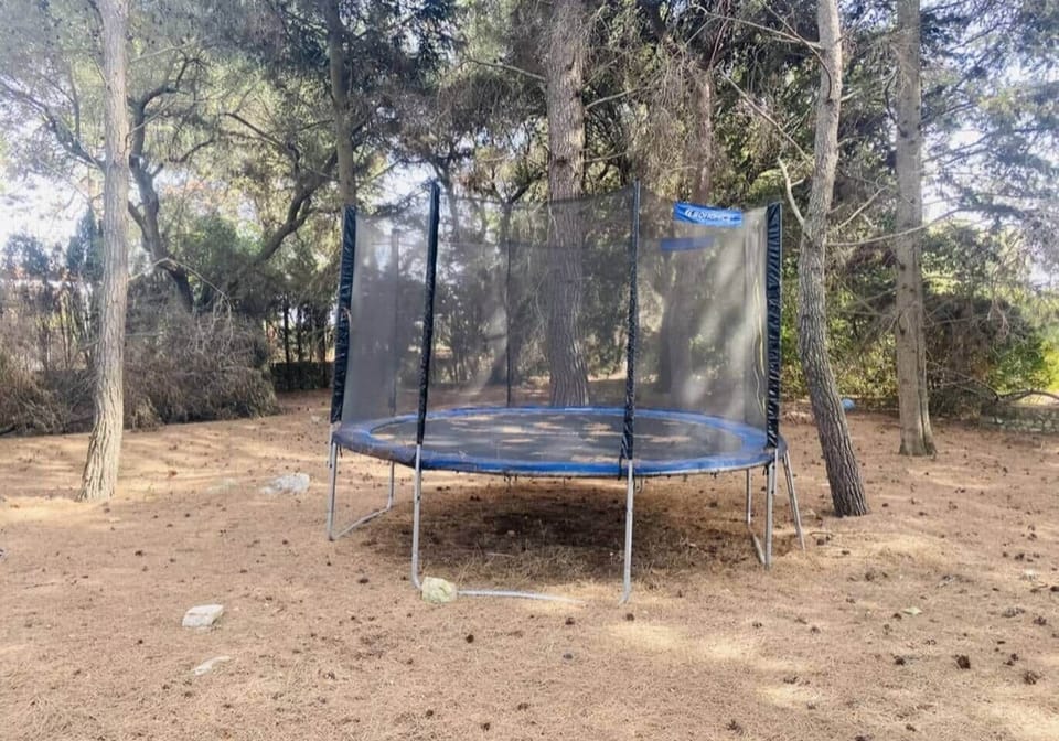 Trampoline 