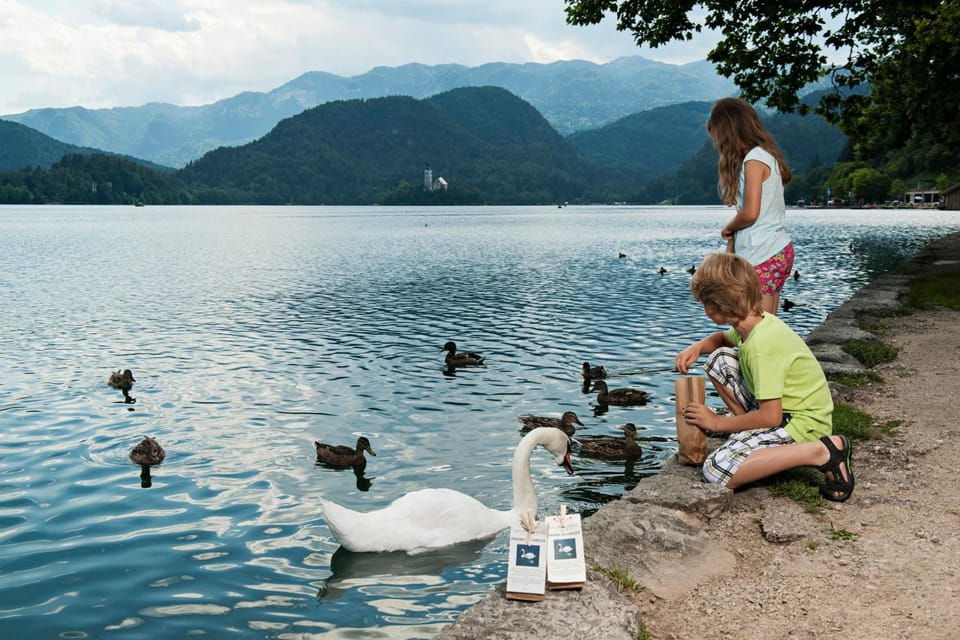 Lake