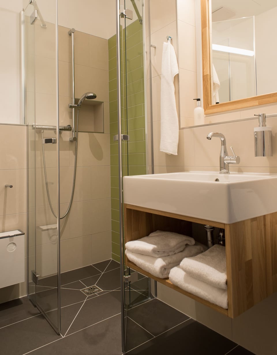 Shower, free toiletries, hair dryer, towels