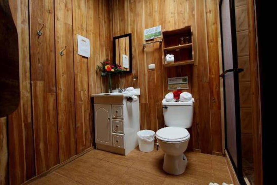 Rainfall showerhead, free toiletries, towels