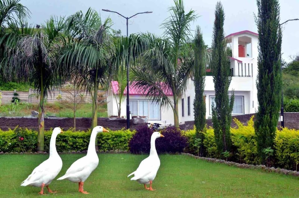 Premium Villa, 2 Bedrooms, Balcony, Pool View | Garden view