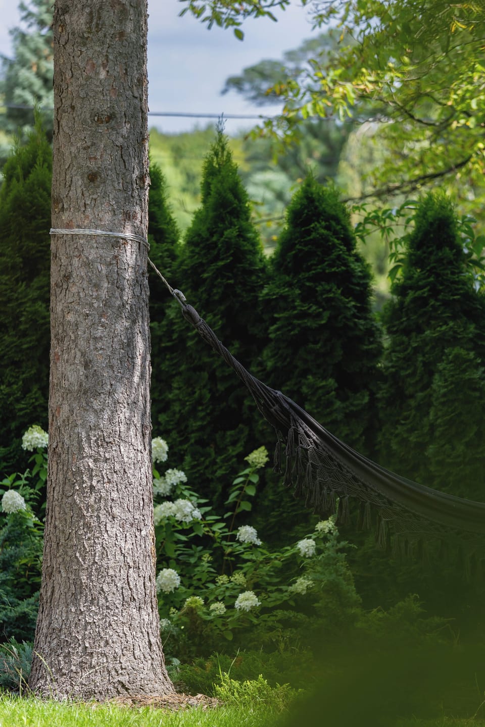 A garden with a hammock and tall trees offers a private, peaceful space for relaxation.