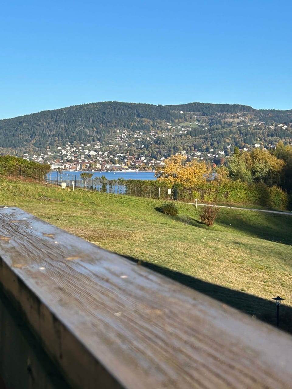 View from property