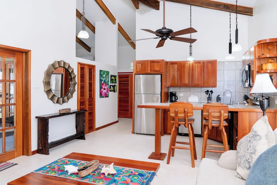 Modern furnishings and kitchen