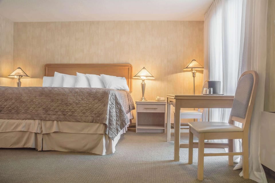 Standard Room, 1 King Bed, Non Smoking | Desk, laptop workspace, blackout drapes, iron/ironing board