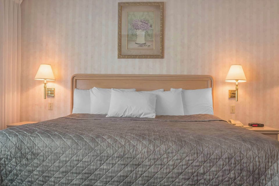 Standard Room, 1 King Bed, Non Smoking | Desk, laptop workspace, blackout drapes, iron/ironing board
