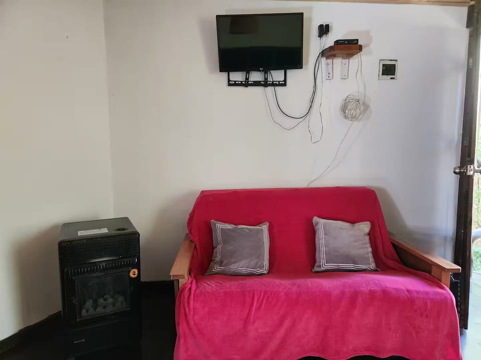 Television